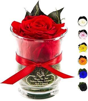 Rosen-Te-Amo 1 x High Quality Durable Red Rose in Vase with Real Green; Preserved Rose in Glass: Flower Bouquet Lasts 3 Years Without Water