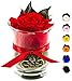 Produktbild Rosen-Te-Amo |Ewige Rose im Glas, duftend, handgefertigt, rot|Echte ewige Rose in Geschenkbox |Geschenk für Frauen, Mama |Konservierte Blume zum Weihnachten, Valentinstag, Muttertag, Deko Geschenk