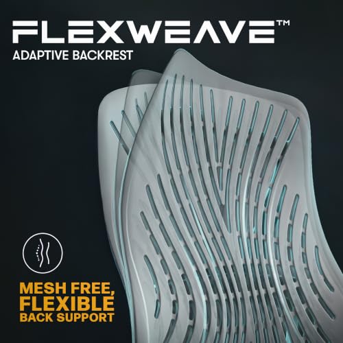 Image of DROGO Feather Node Premium Ergonomic Office Chair for Home & Work | FlexWeave Adaptive Backrest | Dynamic Lumbar Support | 5D Armrests | 4D Headrest | 135 Recline & Footrest - Grey