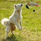 JINGAN Hunde-Stoßfänger zum Wasserholen, Enten-Stoßfänger-Spielzeug - Hunde-Retriever-Trainingsspielzeug | Jagdhundezubehör, Entenspielzeug für Hunde, Simulationstier in Form für Welpen