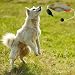 JINGAN Hunde-Stoßfänger zum Wasserholen, Enten-Stoßfänger-Spielzeug - Hunde-Retriever-Trainingsspielzeug | Jagdhundezubehör, Entenspielzeug für Hunde, Simulationstier in Form für Welpen