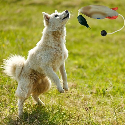 JINGAN Hunde-Stoßfänger zum Wasserholen, Enten-Stoßfänger-Spielzeug - Hunde-Retriever-Trainingsspielzeug | Jagdhundezubehör, Entenspielzeug für Hunde, Simulationstier in Form für Welpen