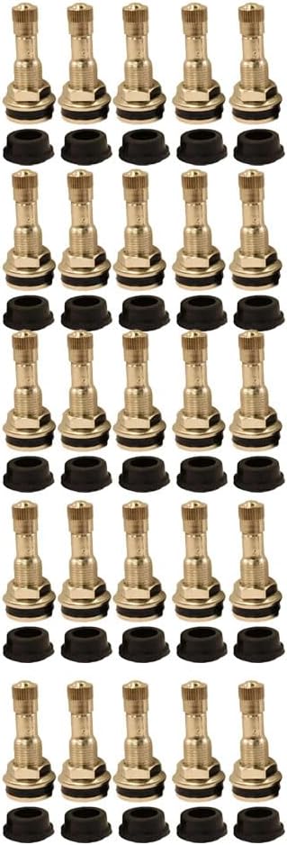 25 Pack - TR416 Metal Valve Stems Outer Mount Fits .453" & .625" Rim Holes Long 1 1/2", Silver (25)