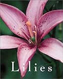 Lilies