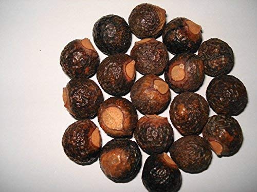 Natural Organic Whole Dried Raw Soap Nuts/Reetha/Aritha Raw Form/(250 Grams)/ Boondikottai-image-45