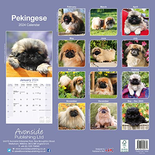 Pekingese Calendar 2024 | Square Dog Breed Wall Calendar - 16 Month - Image 2