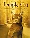 Temple Cat