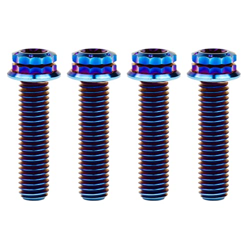 Titanium Flange M10 Bolt (M10x30mm Pitch 1.25mm, Burnt Blue)