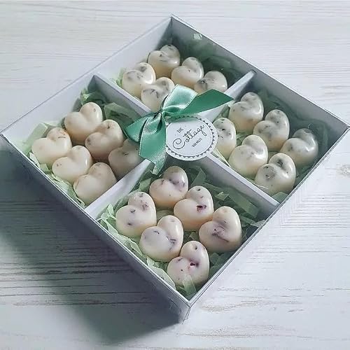 Quitting Hollywood Multicoloured Botanicals Collection Wax Melts Box Of 24