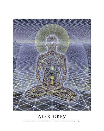 Alex Grey - Theologue - Mini Poster