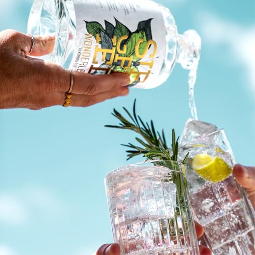 Siegfried Wonderleaf | Alkoholfrei | Von den Machern des weltweit prämierten Siegfried Gin | Vegan | Zuckerfrei | 18 Botanicals | 500ML