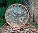 ARAW American Shamanic Native Drum Bison Natural Hide (14 Inches Diameter X 3 Inches Depth)