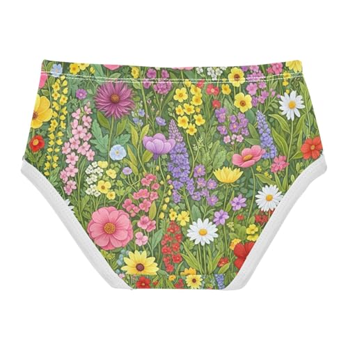 Wildflowers Toddler Girl Underwear, Panties for Girls, 2T–8 Years2