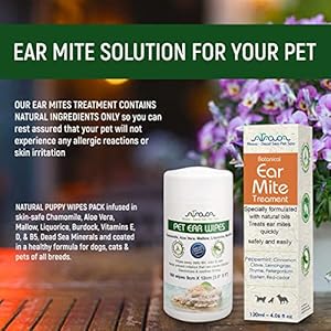 Arava Natural Ear Mite Treatment for Cats and Dogs Effective Ear Cleaning Drops for Cat and Dog Ear Mites and Prevent Infections Not for Cats Under 13 Lbs Puppies Under 9 Months Cucciolini Doodles Arava natural ear mite treatment for cats and dogs effective ear cleaning drops for cat and dog ear mites and prevent infections not for cats under 13 lbs puppies under 9 months cucciolini doodles