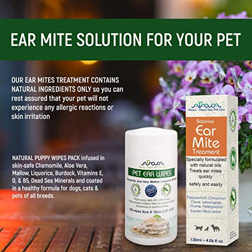 Arava Natural Ear Mite Treatment for Cats and Dogs Effective Ear Cleaning Drops for Cat and Dog Ear Mites and Prevent Infections Not for Cats Under 13 Lbs Puppies Under 9 Months Cucciolini Doodles Arava natural ear mite treatment for cats and dogs effective ear cleaning drops for cat and dog ear mites and prevent infections not for cats under 13 lbs puppies under 9 months cucciolini doodles