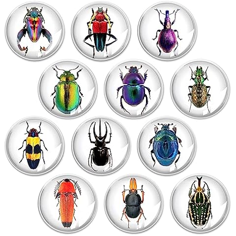 Raeasily Glass Animal Refrigerator Magnets Cover