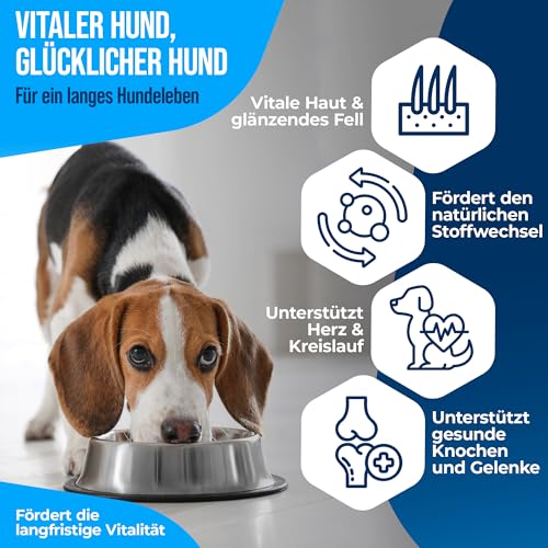 NatiVivo Premium Lachsöl 1000ml – hochwertiges Fischöl für Hunde, Katzen & Pferde – reich an Omega 3 & 6 Fettsäuren – naturbelassenes Barföl für Hunde