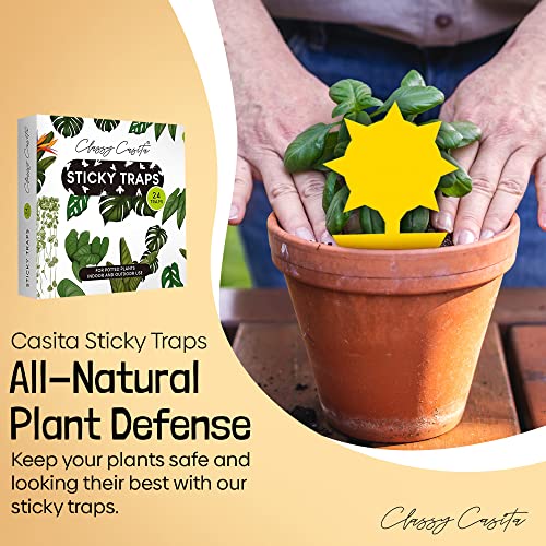 Classy Casita Plant Care Bundle: Sticky Traps, 24-Pack Plant Sticky Traps & Soil Moisture Meter For Indoor & Outdoor Plants W/Plant Watering & Care Ebook, Black #TOP5