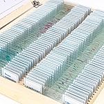 AmScope-100-PC-Prepared-Microscope-Glass-Slides-Set-A
