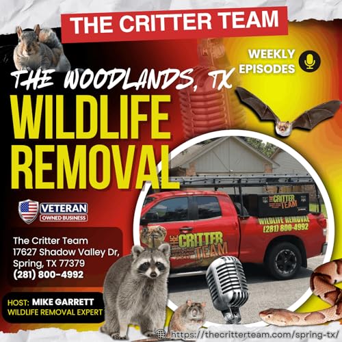 The Woodlands, TX Wildlife Removal