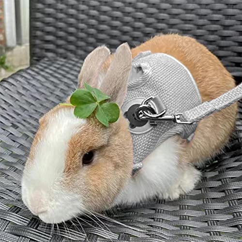 miaomiao Kaninchen Leine, Verstellbares Hasenleine, 120cm, für Kaninchen, Kleine Katzen und Andere Kleine Haustiere