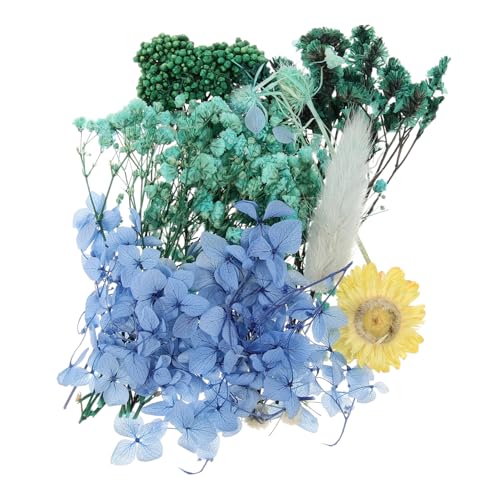 Flores naturales prensadas para manualidades y decoración miniatura 1