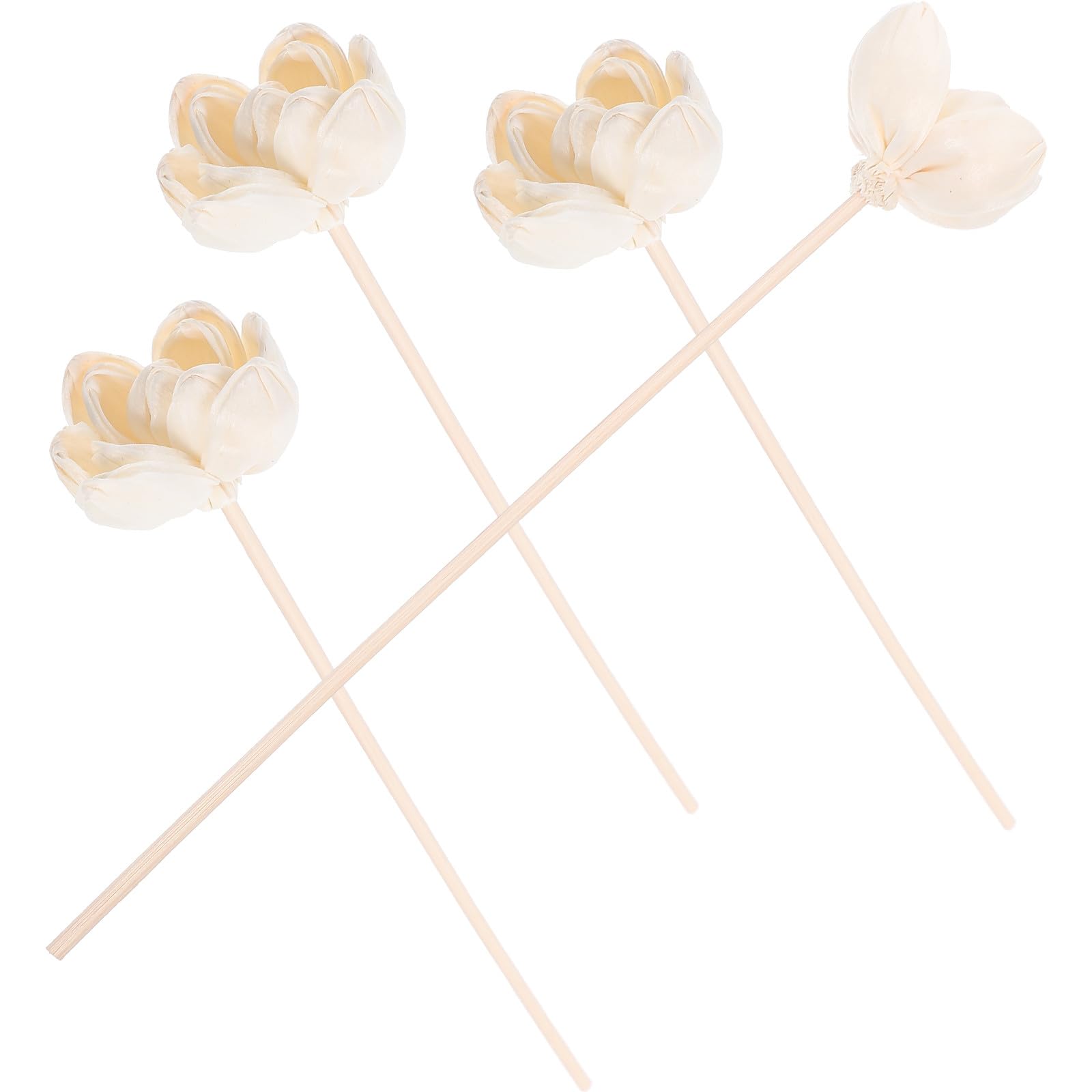Coton blanc de qualité pour diffuseur d'huiles essentielles, fleurs séchées d'exception