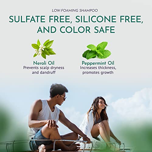 Sulfate-Free Shampoo, Natural Shampoo With Soapnut And Ayurvedic Herbs, Vegan Hair Shampoo, Moisturizing Shampoo With Peppermint Scent For Men/Women, Also Works For Dyed Hair, 12 Fl Oz - Om Botanical #TOP3