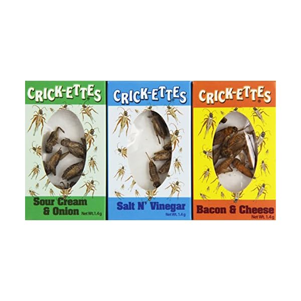 Crickettes Sampler Gift Pack Sour Cream and Onion, Bacon and Cheese