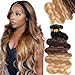 Ombre Brazilian Hair Body Wave 3 Tone Ombre Bundles Human Hair, Ombre Body Wave 3 Bundles Ombre Bundles Remy Hair Body Wave (T1B/4/27,14" 16" 18")