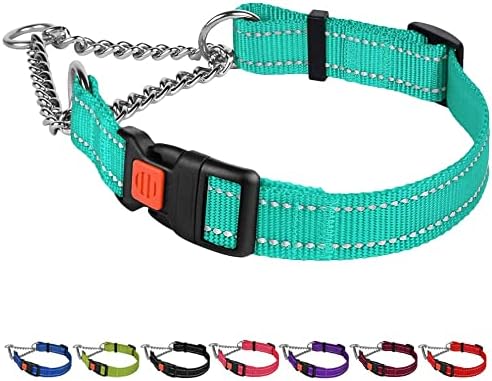 green martingale dog collar