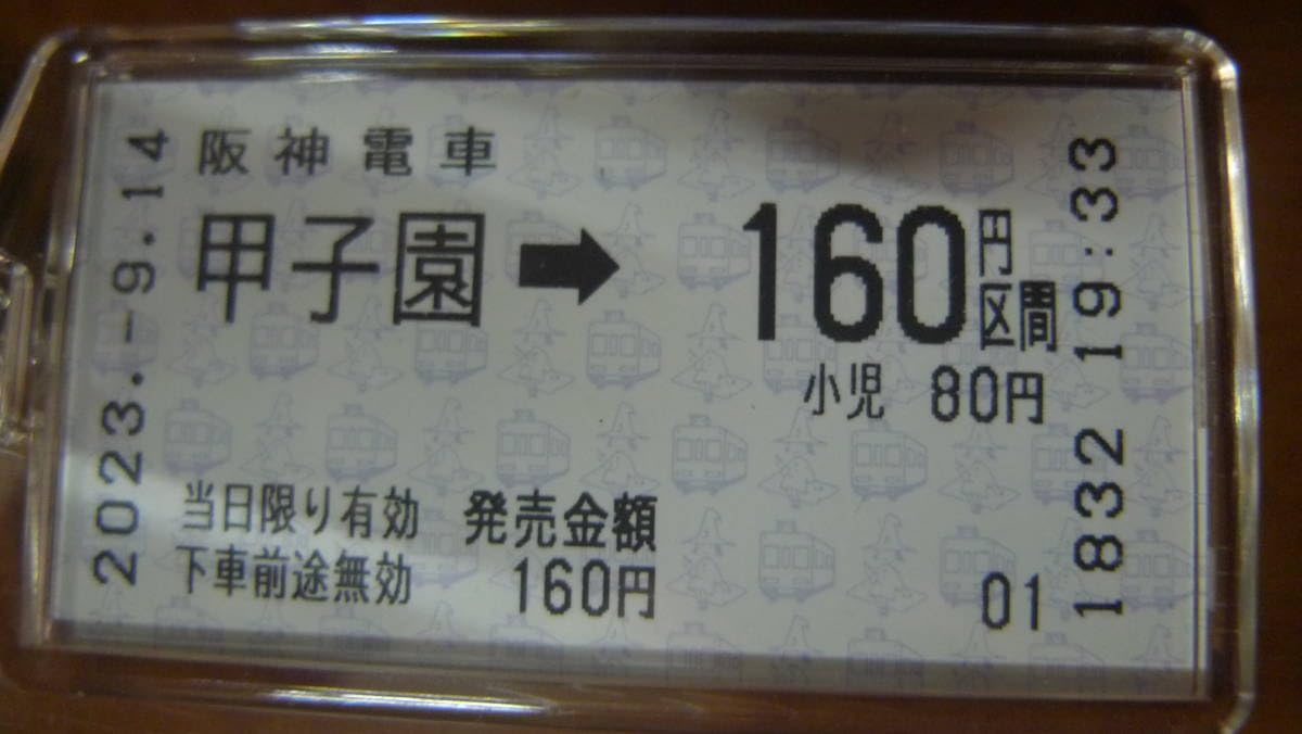 Amazon.co.jp: 阪神電車優勝日切符 阪神 優勝記念 阪神電車 オリジナル 