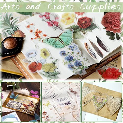 Benvo Pacote com 50 jaquetas de velino pré-dobradas para convites de 12 x 18 cm, papel vegetal trans