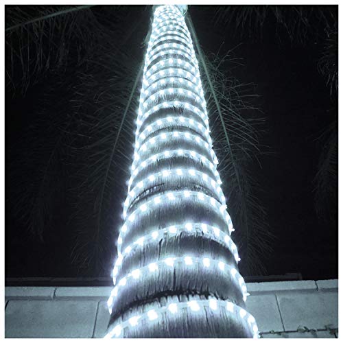 Russell Decor LED Rope Lights Festival Holiday Party Seasonal Christmas Decoration 30ft - 200ft Customized Available (Cool White, 30)