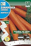 Recoleccion: Todo el año Semillas PRE SEMBRADAS en cintas