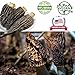 Wild Dried Morel Mushrooms - Morchella Conica 1 Ouncewith Tender and Delicious Meat, Dry morel mushrooms That AreRich in Nutrients and Easy to Eat, Dehydrated Mushrooms Suitablefor Vegetarians