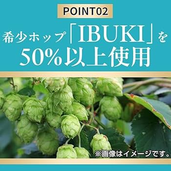 Amazon.co.jp: キリン 晴れ風 ビール350ml×48本 キリンビール