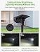 LITOM 12 LEDs Solar Landscape Spotlights, IP67 Waterproof Solar Powered Wall Lights 2-in-1 Wireless Outdoor Solar Landscaping Lights for Yard Garden Driveway Porch Walkway Pool Patio 4 Pack Cold White