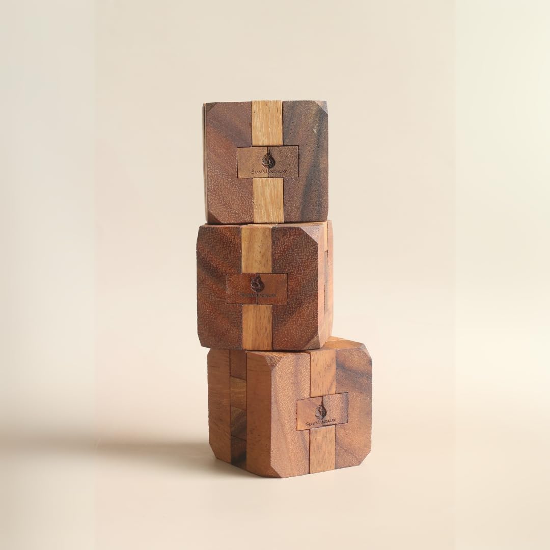 Hidden Passage: Wooden 3D Mechanical Puzzle for Adults – Brain Teaser Game | Desk Toy | Handmade Interlocking Wood Puzzle | Mind Teaser Logic Challenge by SiamMandalay
