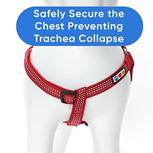 Pawtitas Reflective Step In Dog Harness Or Reflective Vest Harness, Comfort Control, Training Walking Of Your Puppy/Dog Large Dog Harness L Red Dog Harness #TOP2
