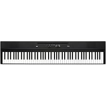Korg - Liano L1 - Portable Digital Piano with Premium Soft-Touch Keyboard - Black