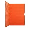 Lavagna Braille 27 righe 30 caratteri per riga con manico 2 pezzi DIN A4, colore arancione