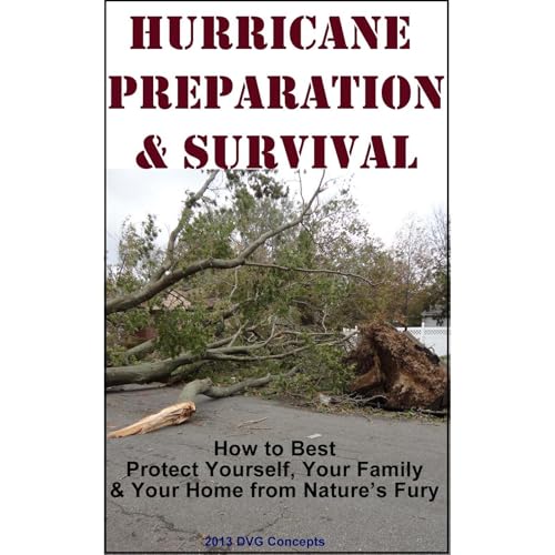 Hurricane Preparation and Survival Audiolibro Por DVG Concepts arte de portada