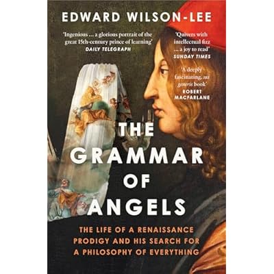 The Grammar of Angels: A Search for the Magical Powers of Language in Renaissance Italy