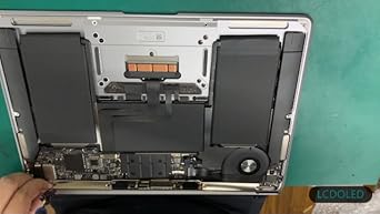 Amazon.com: LCDOLED Replacement 13.3 inches 2560x1600 Full LCD