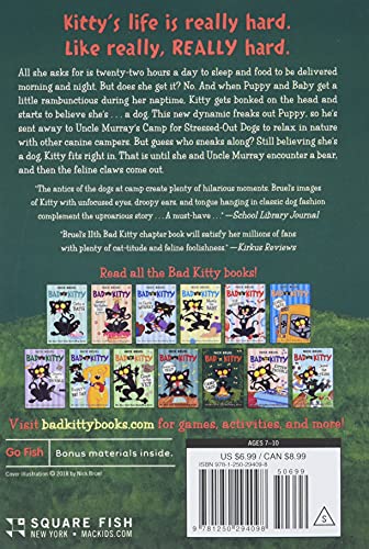 Bad Kitty: Camp Daze
