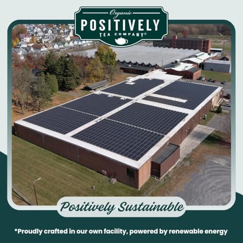 image for Organic Positively Tea Company, Spearmint Leaf Herbal Tea Bags, 100 Co