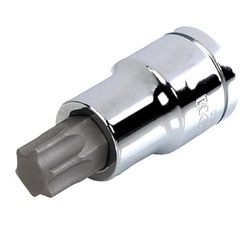 B K JAGAN & CO 1/2'' Torx Bit Socket (T60)