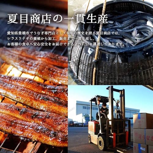 豊橋うなぎ 夏目商店 蒲焼き 中115-130g×2尾 化粧箱入り