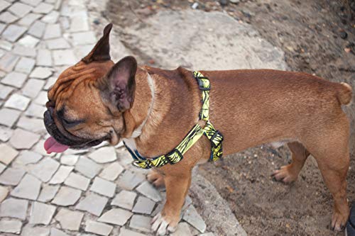 Peitoral Para Cachorros dog27 Waves Tamanho:P